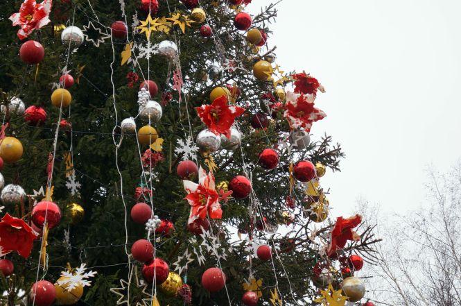 Фото дня: На головній ялинці Вінниці почали облазити прикраси, фото №3 на сайті 20minut.ua