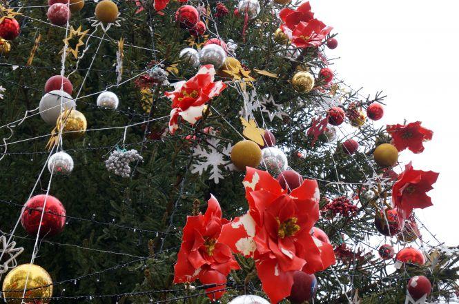 Фото дня: На головній ялинці Вінниці почали облазити прикраси, фото №1 на сайті 20minut.ua