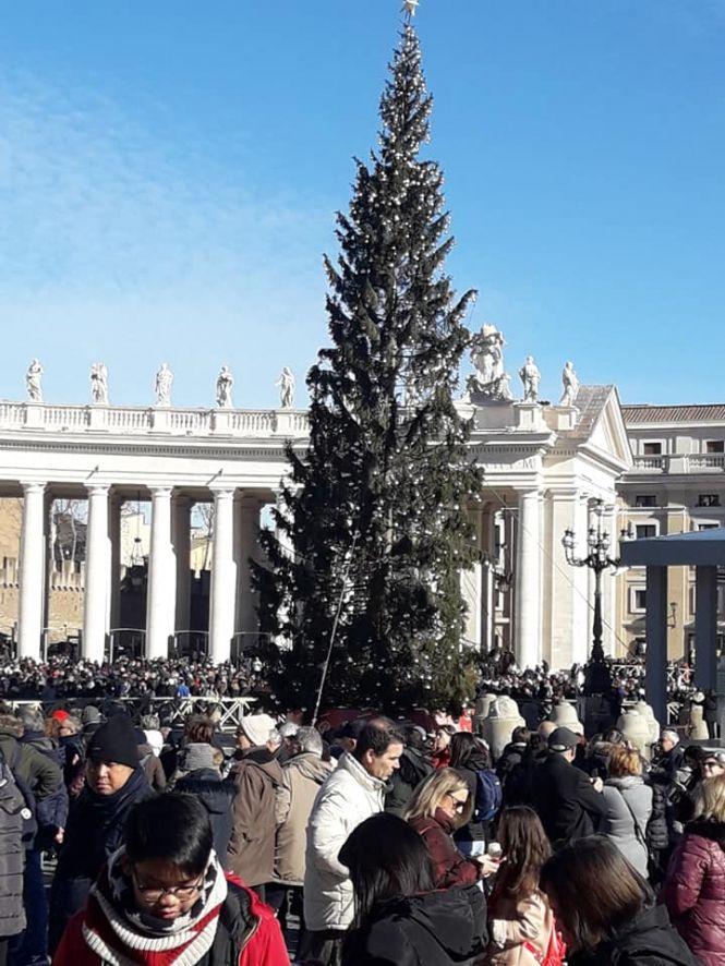 Новини Тернополя - фото з Тернопільський хор співав під час святкової служби у Ватикані Тернопільський хор співав під час святкової служби у Ватикані, фото №1 на сайті 20minut.ua