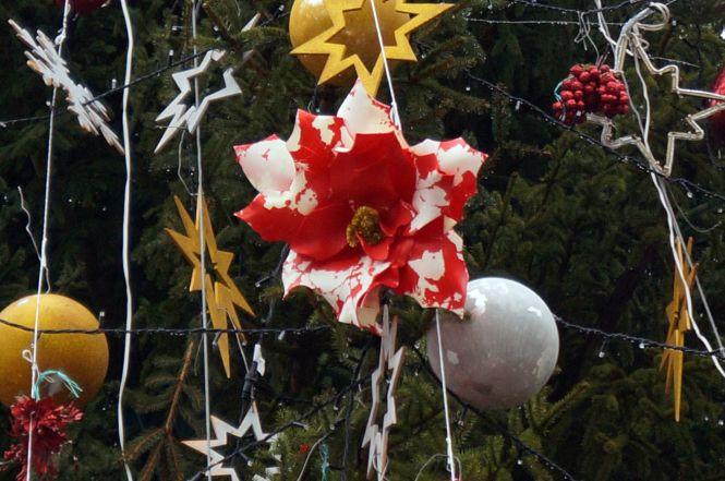 Фото дня: На головній ялинці Вінниці почали облазити прикраси, фото №5 на сайті 20minut.ua