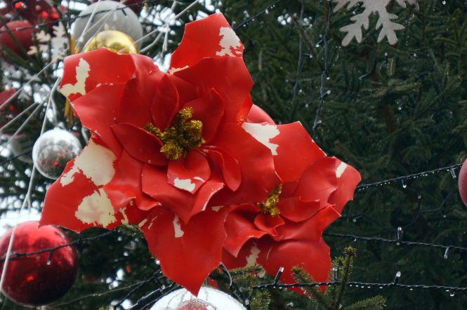 Фото дня: На головній ялинці Вінниці почали облазити прикраси, фото №4 на сайті 20minut.ua