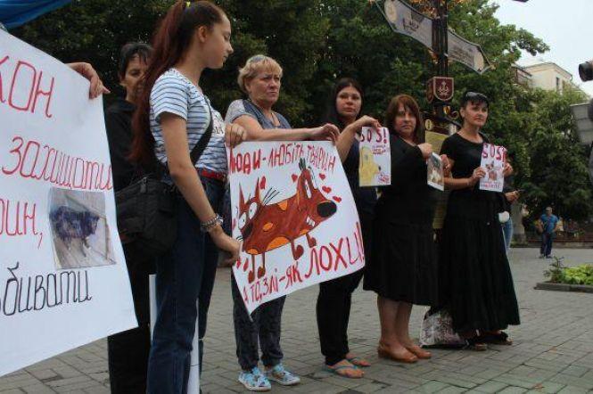 Рятували «Хатіко», ловили зооманіяків і обрали найкращого пса. Чуттєві історії року собаки, фото №6 на сайті 20minut.ua