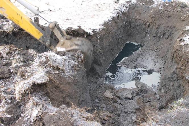 Новини Кам'янця-Подільського - фото з Смерть лебедів: військові знайшли першу ємкість з дизпаливом Смерть лебедів: військові знайшли першу ємкість з дизпаливом, фото №3 на сайті 20minut.ua