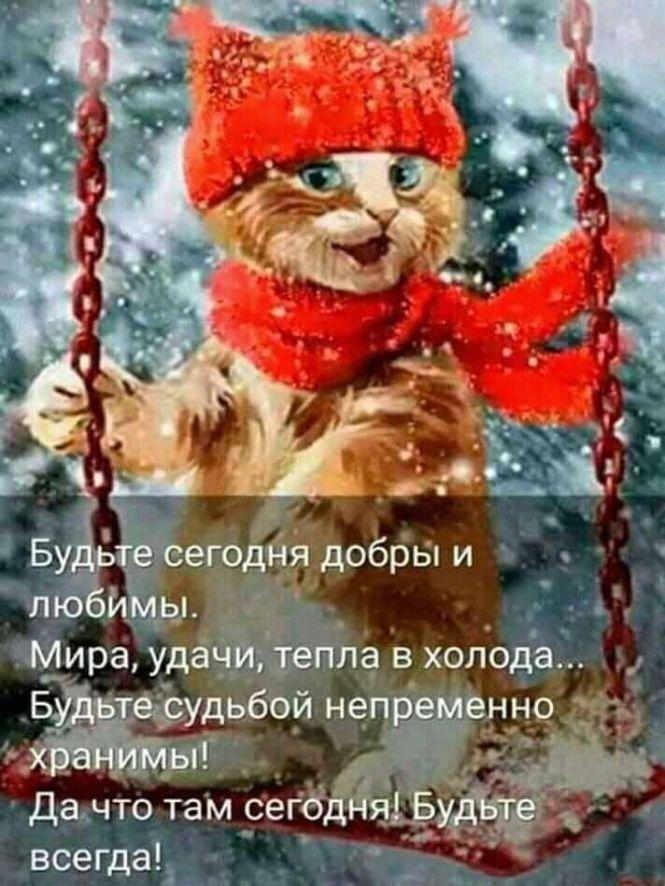 Новини Козятина - фото з Новий вид привітань у інтернеті (оновлено)