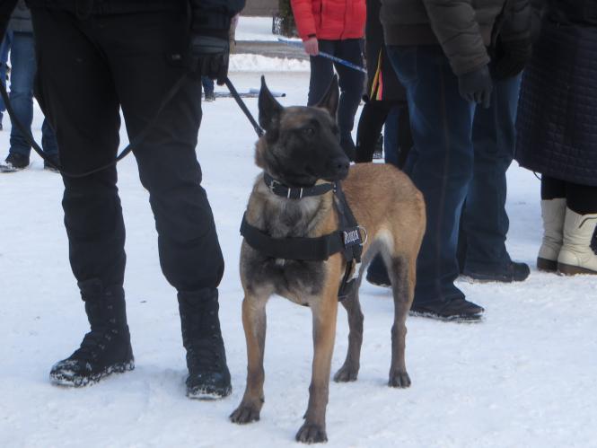 Хмельницькі поліцейські показали дітям амуніцію, навчили правил дорожнього руху та пригостили солодощами, фото №3 на сайті vsim.ua
