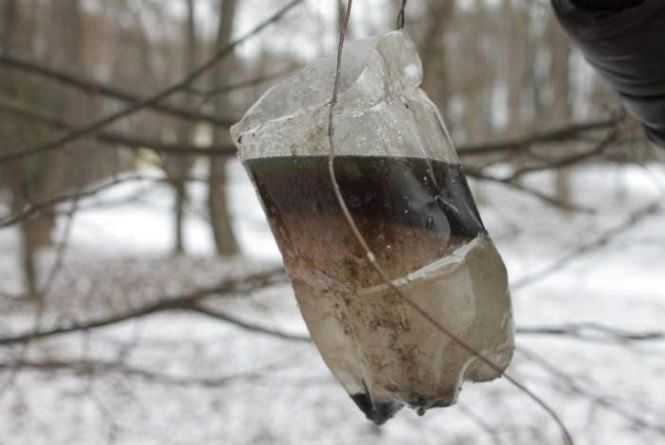 Новини Кам'янця-Подільського - фото з Події у Кам’янці-Подільському, які ви могли пропустити: ТОП - 5 новин Події у Кам’янці-Подільському, які ви могли пропустити: ТОП - 5 новин, фото №5 на сайті 20minut.ua