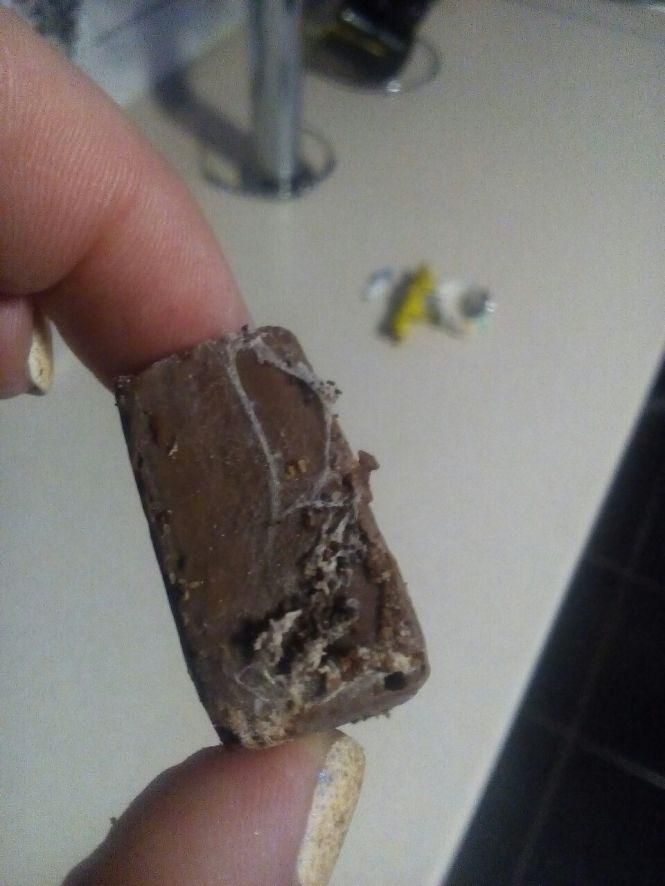 Новини Козятина - фото з Цукерки з сюрпризом — павутинням та червивою начинкою Цукерки з сюрпризом — павутинням та червивою начинкою, фото №3 на сайті 20minut.ua