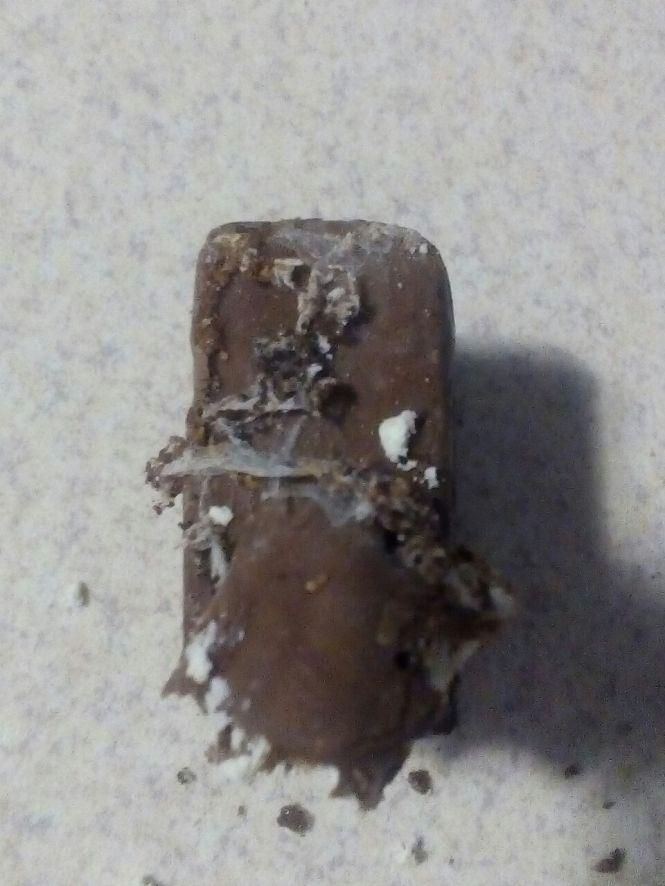 Новини Козятина - фото з Цукерки з сюрпризом — павутинням та червивою начинкою Цукерки з сюрпризом — павутинням та червивою начинкою, фото №1 на сайті 20minut.ua