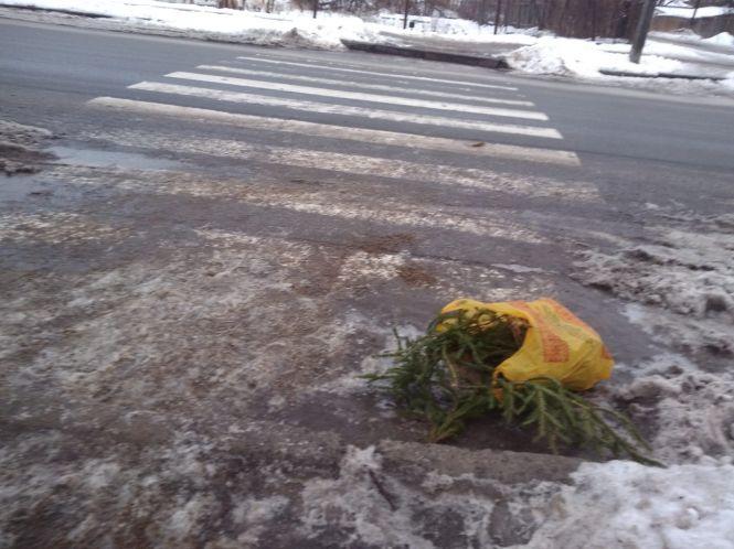 Новини Хмельницького - фото з Викидають навіть на проїжджу частину: куди діваються ялинки хмельничан Викидають навіть на проїжджу частину: куди діваються ялинки хмельничан, фото №1 на сайті vsim.ua