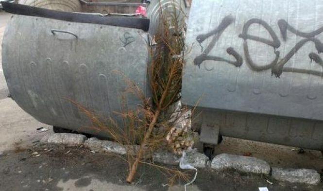 Новини Хмельницького - фото з Викидають навіть на проїжджу частину: куди діваються ялинки хмельничан Викидають навіть на проїжджу частину: куди діваються ялинки хмельничан, фото №3 на сайті vsim.ua