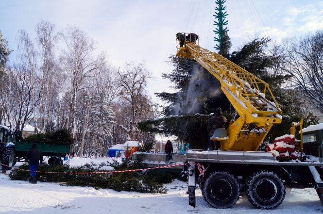 Новини Вінниці - фото з Фото дня: В парку розбирають новорічну ялинку Фото дня: В парку розбирають новорічну ялинку, фото №1 на сайті 20minut.ua