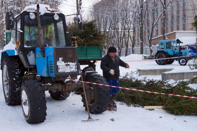 Новини Вінниці - фото з Фото дня: В парку розбирають новорічну ялинку Фото дня: В парку розбирають новорічну ялинку, фото №3 на сайті 20minut.ua