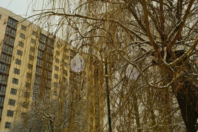 Новини Хмельницького - фото з Зимова казка: як виглядає засніжений Хмельницький (ФОТО, ВІДЕО) Зимова казка: як виглядає засніжений Хмельницький (ФОТО, ВІДЕО), фото №18 на сайті vsim.ua