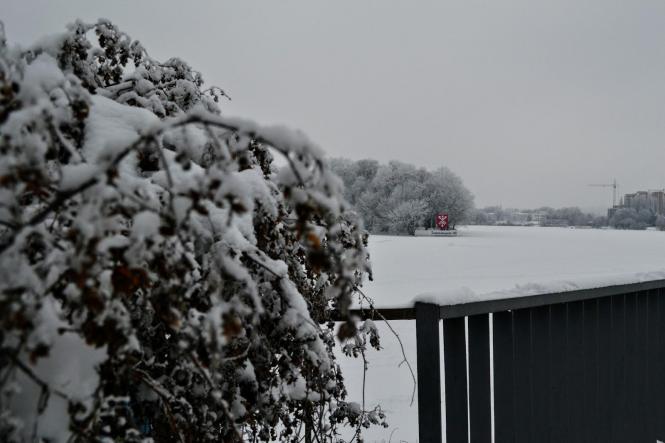 Новини Хмельницького - фото з Зимова казка: як виглядає засніжений Хмельницький (ФОТО, ВІДЕО) Зимова казка: як виглядає засніжений Хмельницький (ФОТО, ВІДЕО), фото №25 на сайті vsim.ua