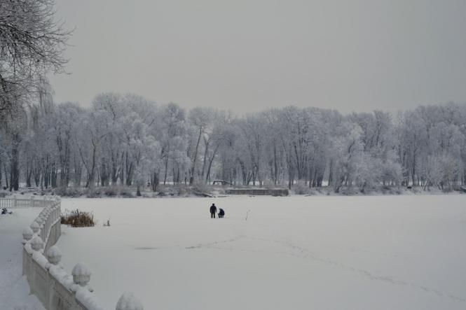 Новини Хмельницького - фото з Зимова казка: як виглядає засніжений Хмельницький (ФОТО, ВІДЕО) Зимова казка: як виглядає засніжений Хмельницький (ФОТО, ВІДЕО), фото №12 на сайті vsim.ua
