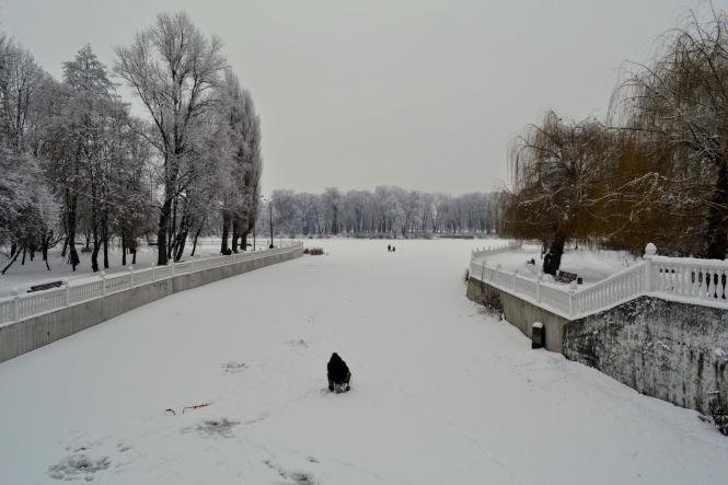 Новини Хмельницького - фото з Зимова казка: як виглядає засніжений Хмельницький (ФОТО, ВІДЕО) Зимова казка: як виглядає засніжений Хмельницький (ФОТО, ВІДЕО), фото №9 на сайті vsim.ua