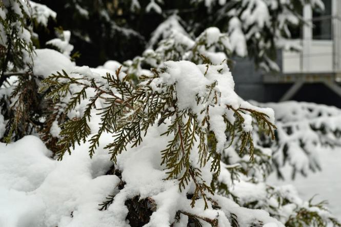 Новини Хмельницького - фото з Зимова казка: як виглядає засніжений Хмельницький (ФОТО, ВІДЕО) Зимова казка: як виглядає засніжений Хмельницький (ФОТО, ВІДЕО), фото №5 на сайті vsim.ua