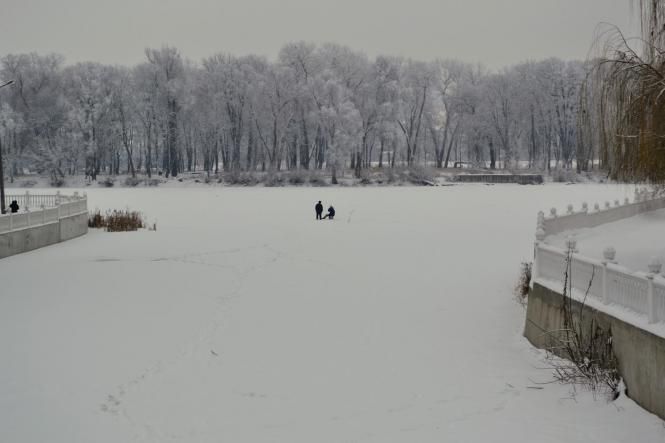 Новини Хмельницького - фото з Зимова казка: як виглядає засніжений Хмельницький (ФОТО, ВІДЕО) Зимова казка: як виглядає засніжений Хмельницький (ФОТО, ВІДЕО), фото №10 на сайті vsim.ua