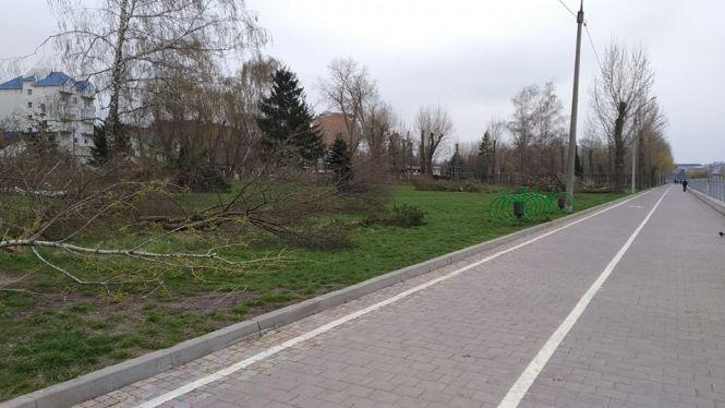 Новини Тернополя - фото з У парку Шевченка зрізали близько двадцяти дерев, що вже почали розпускатись У парку Шевченка зрізали близько двадцяти дерев, що вже почали розпускатись, фото №3 на сайті 20minut.ua