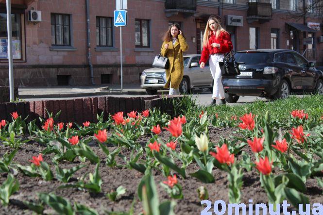 Новини Тернополя - фото з Тернопіль квітне: фоторепортаж із весняного міста Тернопіль квітне: фоторепортаж із весняного міста, фото №5 на сайті 20minut.ua