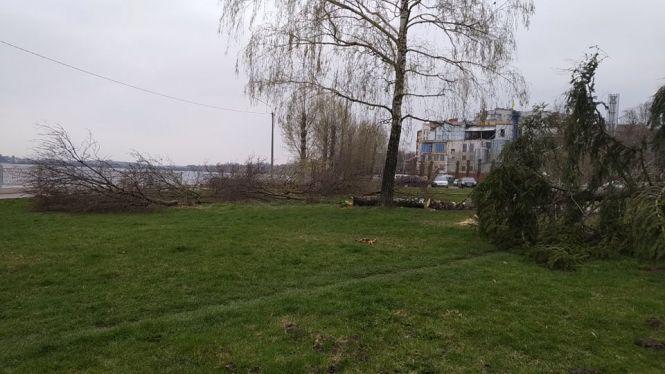Новини Тернополя - фото з У парку Шевченка зрізали близько двадцяти дерев, що вже почали розпускатись У парку Шевченка зрізали близько двадцяти дерев, що вже почали розпускатись, фото №2 на сайті 20minut.ua