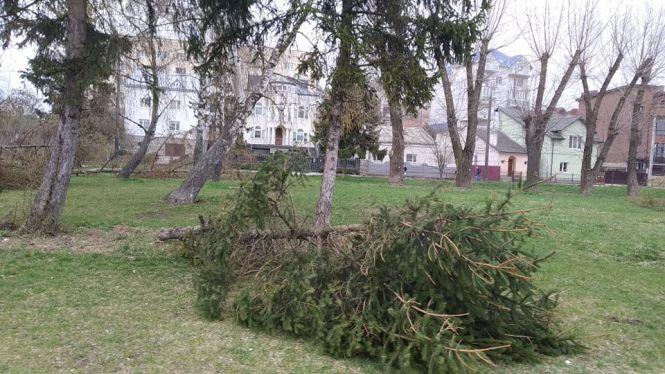 Новини Тернополя - фото з У парку Шевченка зрізали близько двадцяти дерев, що вже почали розпускатись У парку Шевченка зрізали близько двадцяти дерев, що вже почали розпускатись, фото №1 на сайті 20minut.ua