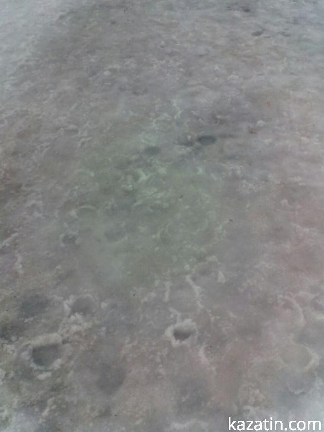 Козятин у останній день січня, фото №5 на сайті 20minut.ua