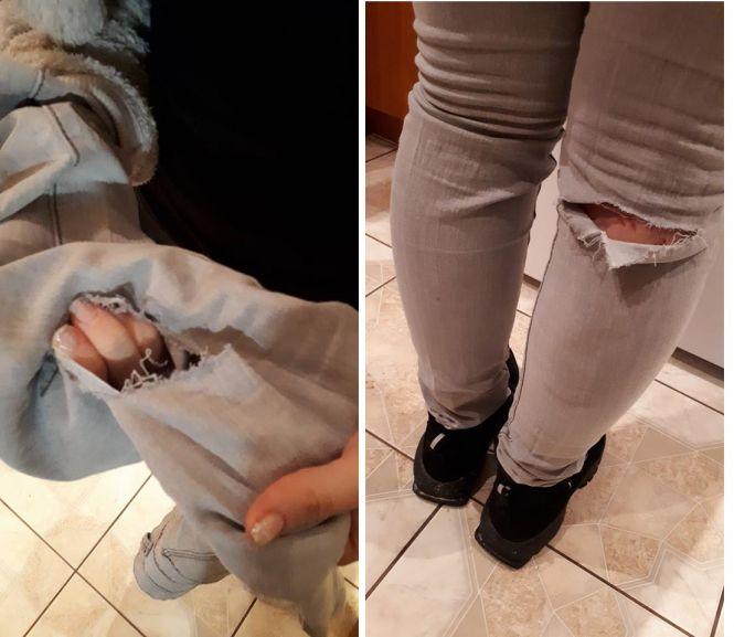 Новини Тернополя - фото з Безпритульні пси знову атакують. Є щонайменше двоє потерпілих Безпритульні пси знову атакують. Є щонайменше двоє потерпілих, фото №1 на сайті 20minut.ua