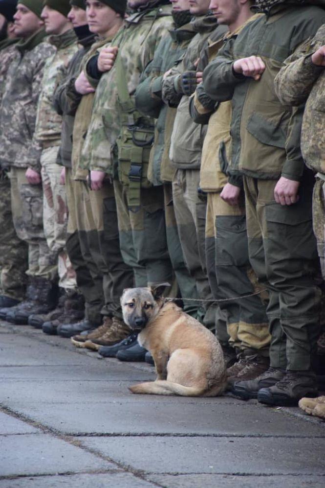 Новини Вінниці - фото з До Гайсина із зони бойових дій повернулися бійці 59-ї мотопіхотної бригади До Гайсина із зони бойових дій повернулися бійці 59-ї мотопіхотної бригади, фото №9 на сайті 20minut.ua