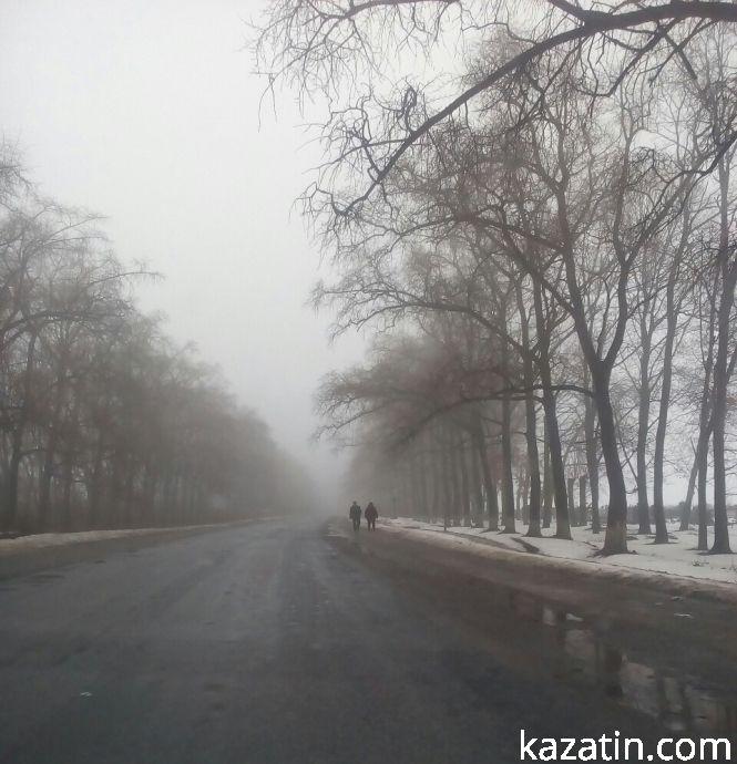 Козятин сьогодні — Великі озера та моква у місті, фото №1 на сайті 20minut.ua