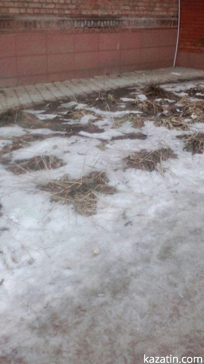 Фото дня: брудний Козятин, фото №2 на сайті 20minut.ua