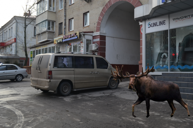 Обережно, "лось" за кермом! Репортаж із “парковок” Хмельницького, фото №7 на сайті vsim.ua