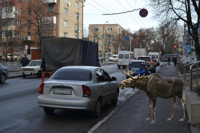 Обережно, "лось" за кермом! Репортаж із “парковок” Хмельницького, фото №6 на сайті vsim.ua
