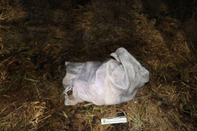 Майже дві сотні гранат знайшли просто посеред пасовиська на Хмельниччині, фото №2 на сайті vsim.ua