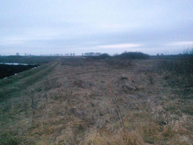 Майже дві сотні гранат знайшли просто посеред пасовиська на Хмельниччині, фото №1 на сайті vsim.ua