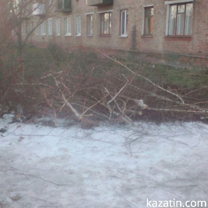 Сьогодні, 7 лютого, під прицілом РЕМу була перша школа, фото №2 на сайті 20minut.ua