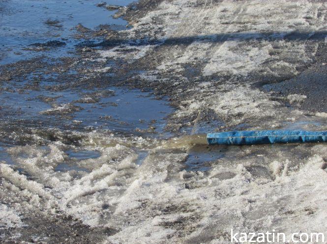 Колгоспний ринок вражає пусткою, фото №6 на сайті 20minut.ua