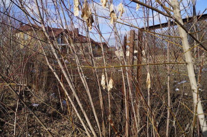 Новини Вінниці - фото з «Маєтки» з пірсами, приватні копанки та березовий гай. Набережна від Київського мосту до кінця П’ятничан «Маєтки» з пірсами, приватні копанки та березовий гай. Набережна від Київського мосту до кінця П’ятничан, фото №16 на сайті 20minut.ua
