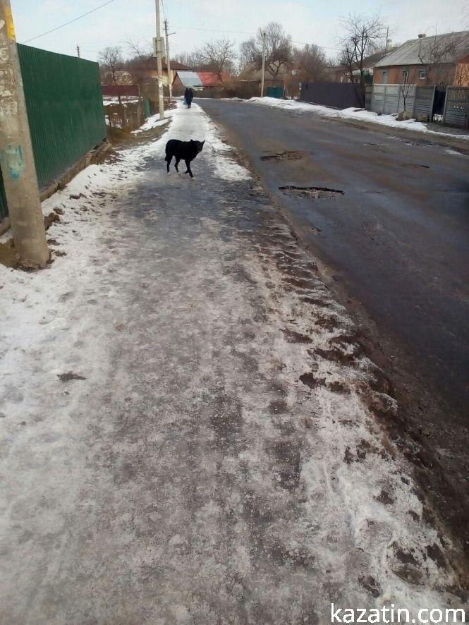 Це Козятин сьогодні — ями та сміття, фото №3 на сайті 20minut.ua