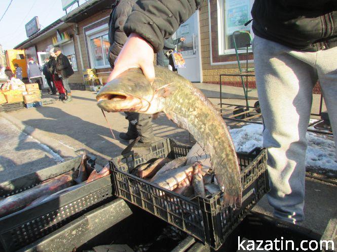 Козятинський хитрий базарчик у п'ятницю, фото №3 на сайті 20minut.ua