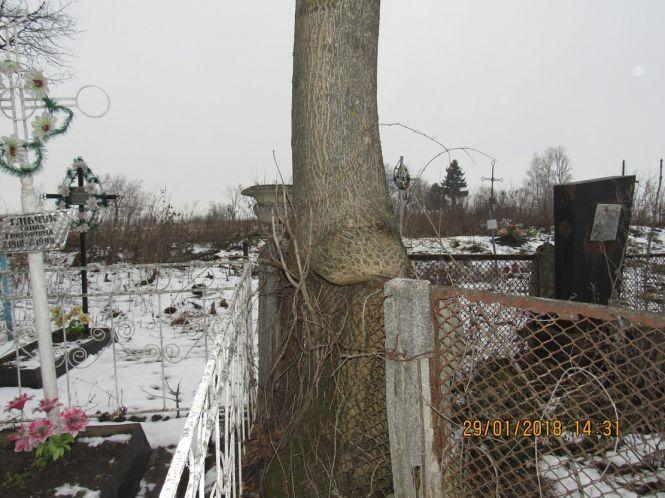 Що відбувається після смерті дитини? Загорнута могила в Глухівцях, фото №1 на сайті 20minut.ua