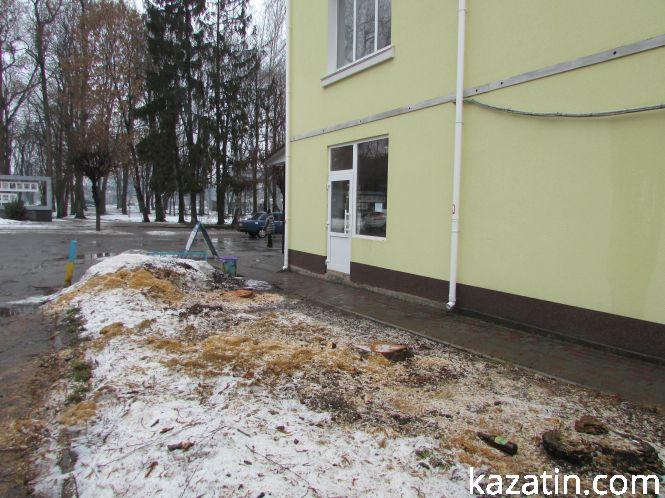 Новини Козятина - фото з Нищівна вирубка зелених насаджень в Козятині на фоні суцільного потопу Нищівна вирубка зелених насаджень в Козятині на фоні суцільного потопу, фото №2 на сайті 20minut.ua