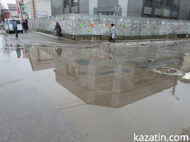 Новини Козятина - фото з Нищівна вирубка зелених насаджень в Козятині на фоні суцільного потопу Нищівна вирубка зелених насаджень в Козятині на фоні суцільного потопу, фото №6 на сайті 20minut.ua