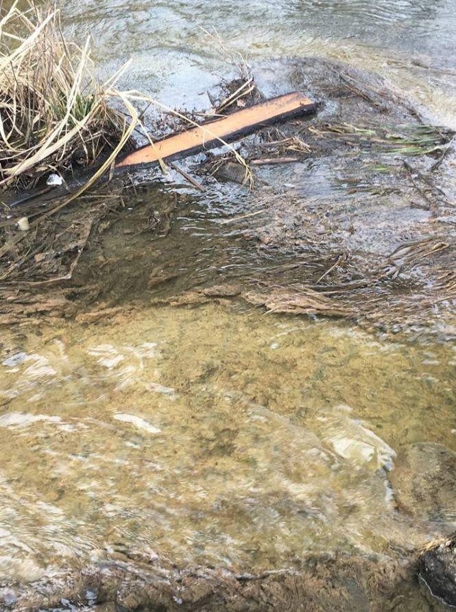 Екологи знову фіксують забруднення річки Хомора, фото №3 на сайті 20minut.ua