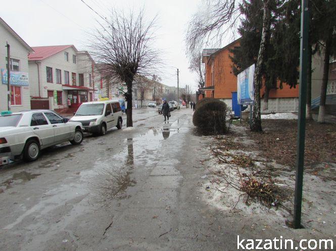 Новини Козятина - фото з Нищівна вирубка зелених насаджень в Козятині на фоні суцільного потопу Нищівна вирубка зелених насаджень в Козятині на фоні суцільного потопу, фото №4 на сайті 20minut.ua