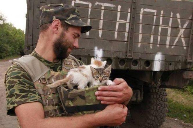 Українські військові показали своїх котиків (супер підбірка фото), фото №22 на сайті 20minut.ua