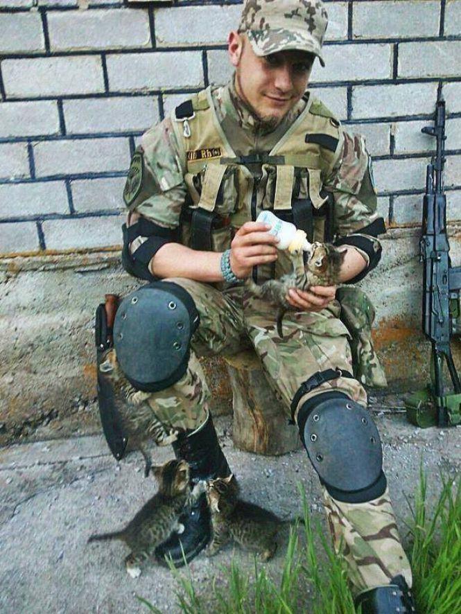 Українські військові показали своїх котиків (супер підбірка фото), фото №21 на сайті 20minut.ua