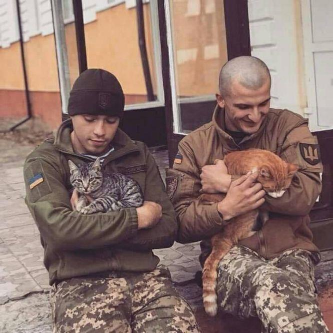 Українські військові показали своїх котиків (супер підбірка фото), фото №31 на сайті 20minut.ua