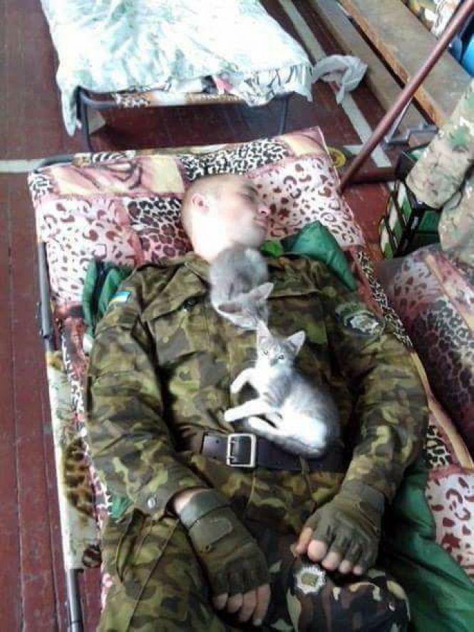 Українські військові показали своїх котиків (супер підбірка фото), фото №29 на сайті 20minut.ua