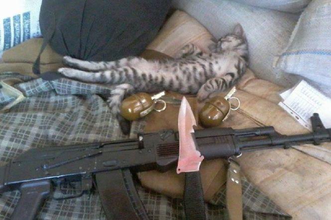 Українські військові показали своїх котиків (супер підбірка фото), фото №20 на сайті 20minut.ua